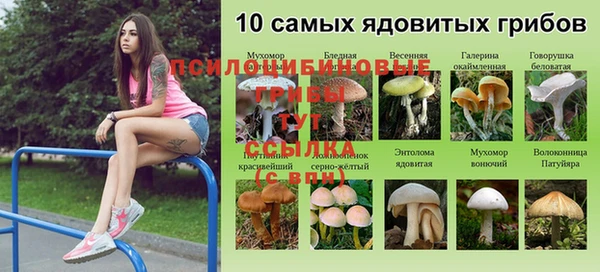 винт Ростов