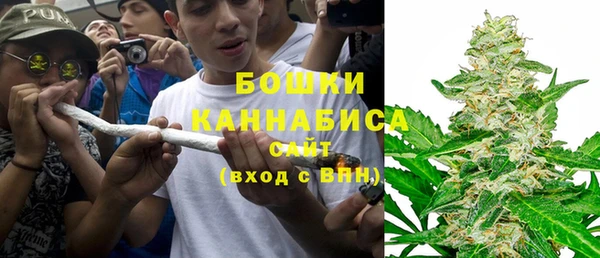 PSILOCYBIN Россошь