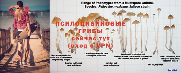 винт Ростов
