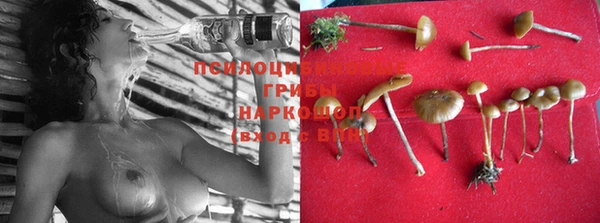 PSILOCYBIN Россошь