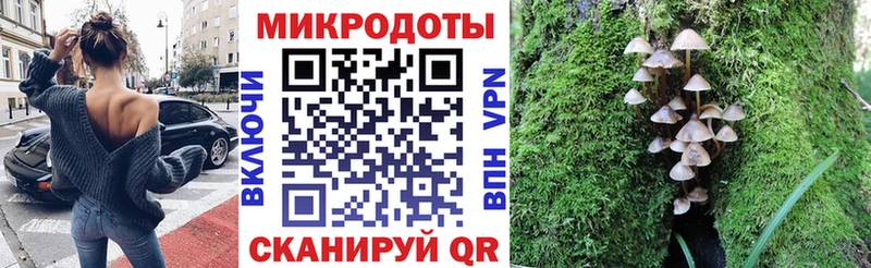 Псилоцибиновые грибы мицелий  Соль-Илецк 