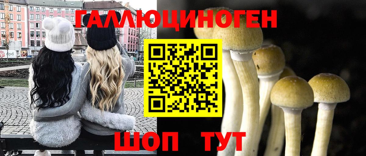 Галлюциногенные грибы Psilocybe  Вход с VPN  Соль-Илецк  Галлюциногенные грибы мухоморы 